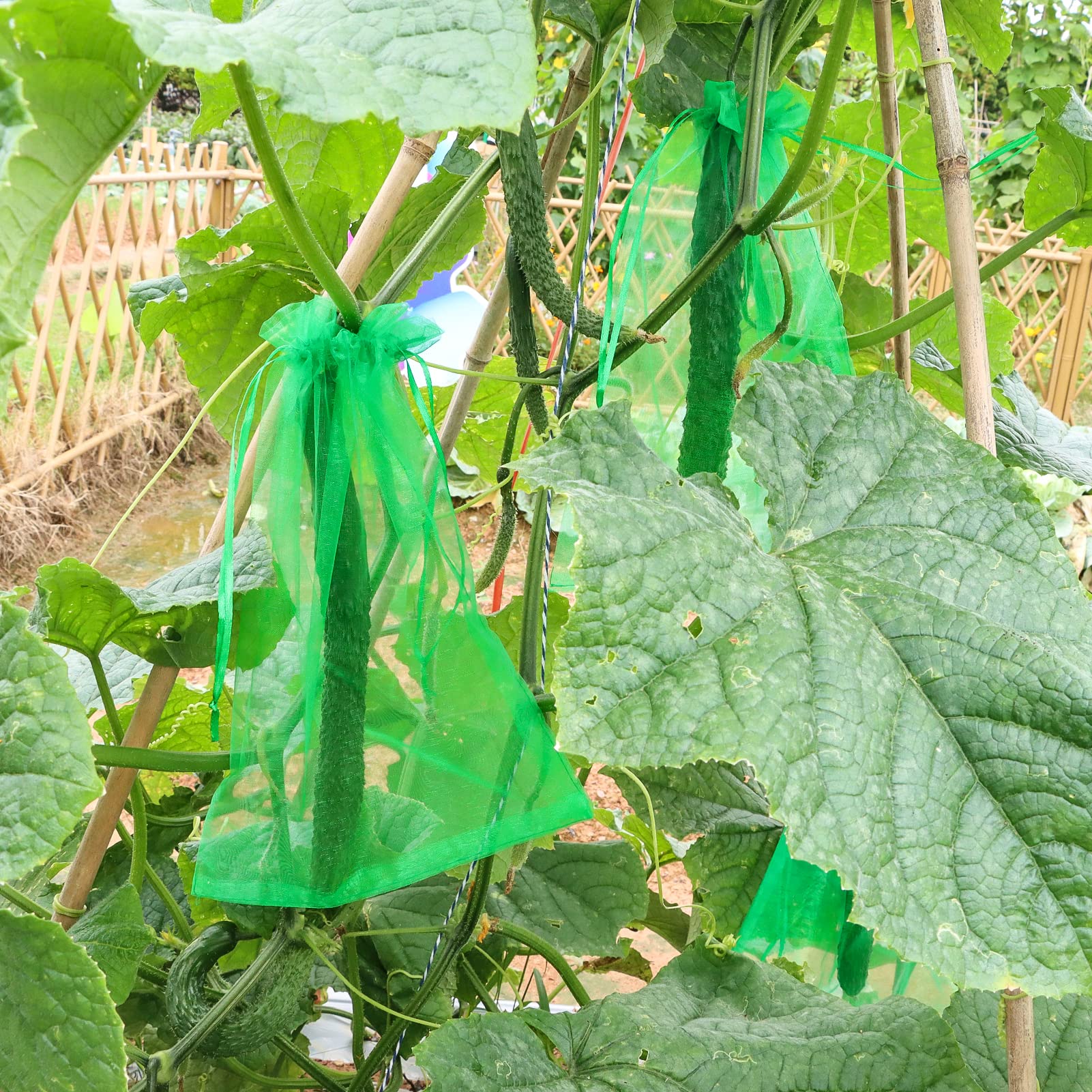 Hawkko 140 PCS Fruit Protection Bags, Fruit Netting Bags, 4 Size, Fruit Cover Mesh Bag with Drawstring, Garden Netting Bag, Mosquito Bug Insect Bird Net Barrier Bag for Fruits Vegetables Plant Flower (Green)